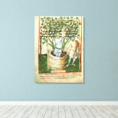 Nouv Acq Lat Gathering en persen van druiven Canvas Afdruk (Insitu (Houten vloer))