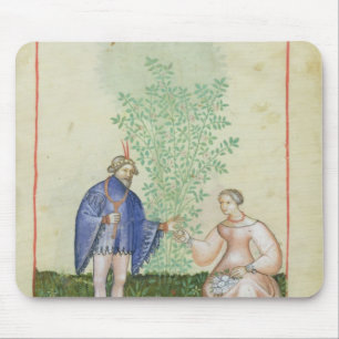 Nouv Acq LatRoses uit "Tacuinum Sanitatis" Muismat