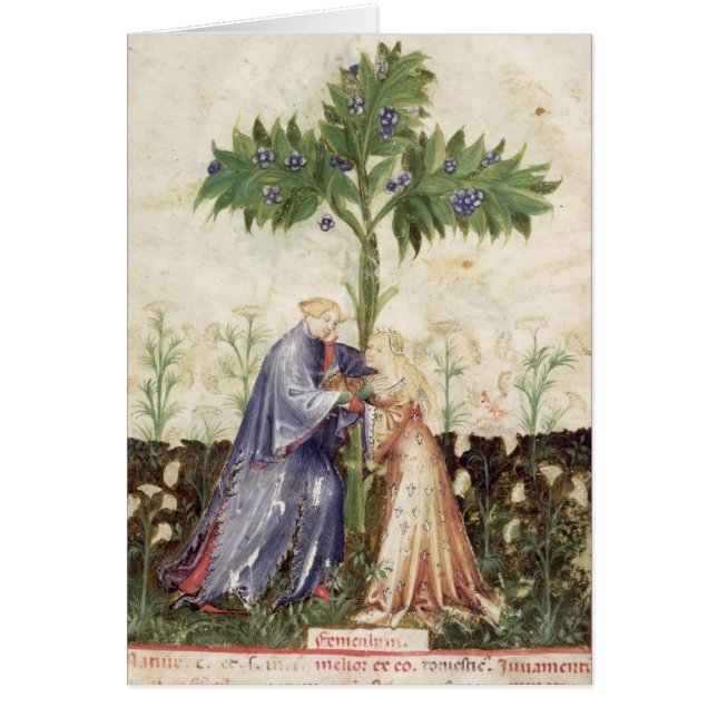 Nouv Acq LatVenkel, uit 'Tacuinum Sanitatis' (Voorkant)