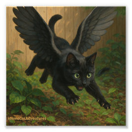 Nova Cat Adventures – Winged Nova v1 Foto Afdruk