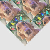 Nova de Golden Retriever-kerstkrant Tissuepapier (Detail)