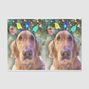 Nova de Golden Retriever-kerstkrant Tissuepapier