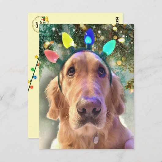 Nova De Gouden Retriever's Kerstmis Briefkaart (Voorkant / Achterkant)