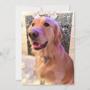 Nova Girl's Merry and Bright - Golden Retriever - Feestdagenkaart