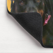 Nova & Neo Muismat (Hoek)