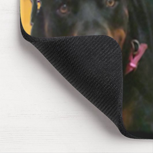 Nova & Neo Muismat (Hoek)