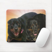 Nova & Neo Muismat (Met muis)