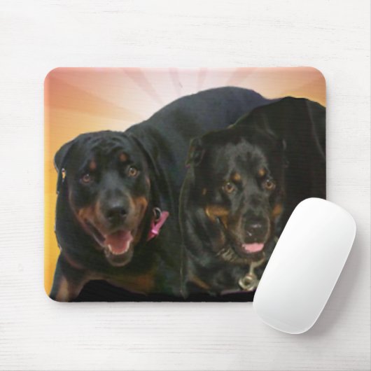 Nova & Neo Muismat (Met muis)