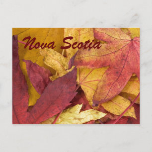 Nova Scotia Autumn Leaves Briefkaart