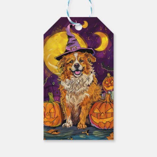 Nova Scotia Duck Toller Halloween Witch Pumpkin Cadeaulabel (Voorkant)
