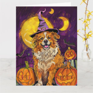 Nova Scotia Duck Toller Halloween Witch Pumpkin Kaart