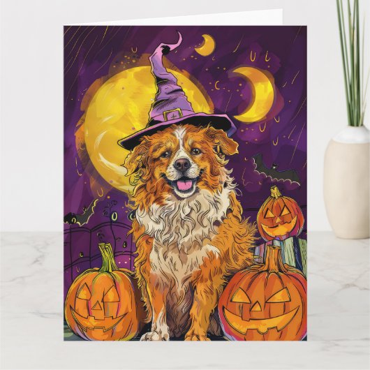 Nova Scotia Duck Toller Halloween Witch Pumpkin Kaart (Voorkant)