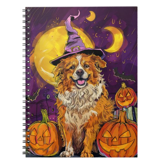 Nova Scotia Duck Toller Halloween Witch Pumpkin Notitieboek (Voorkant)