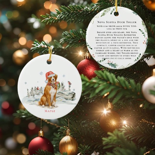 Nova Scotia Duck Toller-hond-monogram Keramisch Ornament