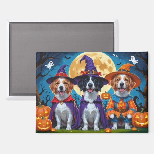 Nova Scotia Duck Toller Pompoen Halloween Grappig Magneet (Voorkant / Achterkant)