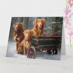 Nova Scotia Duck Toller Retriever Sneeuw Slede Kaart