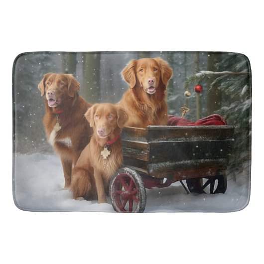 Nova Scotia Duck Toller Retriever Sneeuw slee Badmat (Voorkant)