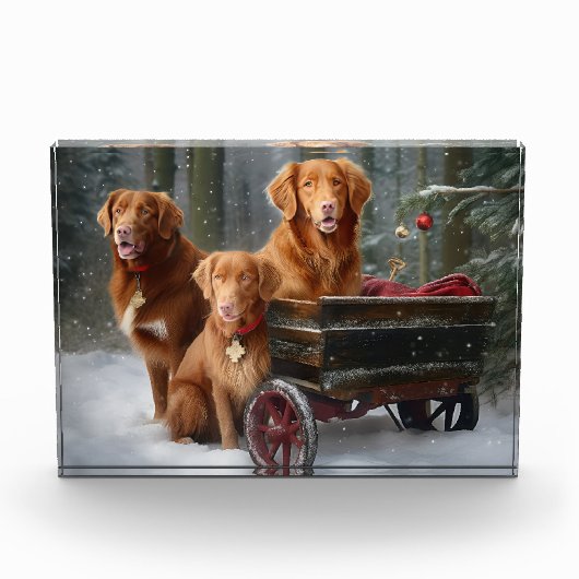 Nova Scotia Duck Toller Retriever Sneeuw slee Fotoblokken (Voorkant)