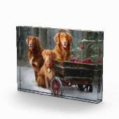 Nova Scotia Duck Toller Retriever Sneeuw slee Fotoblokken (Rechts)