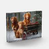 Nova Scotia Duck Toller Retriever Sneeuw slee Fotoblokken (Links)