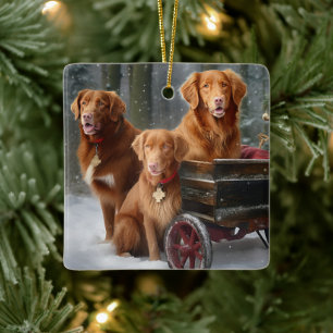Nova Scotia Duck Toller Retriever Sneeuw slee Keramisch Ornament