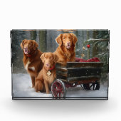 Nova Scotia Duck Toller Retriever Sneeuwslee Fotoblokken (Voorkant)
