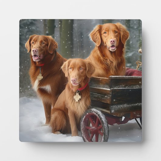 Nova Scotia Duck Toller Retriever Sneeuwslee Fotoplaat (Voorkant)