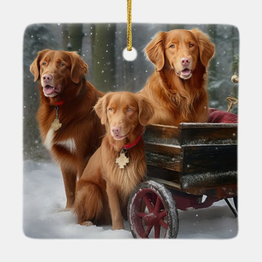 Nova Scotia Duck Toller Retriever Sneeuwslee Keramisch Ornament (Achterkant)