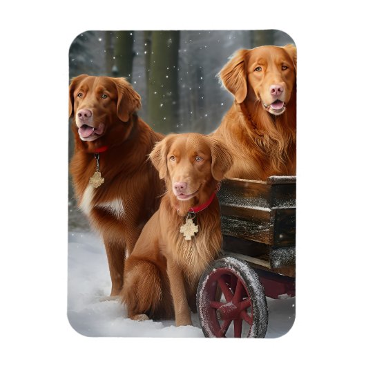 Nova Scotia Duck Toller Retriever Sneeuwslee Magneet (Verticaal)