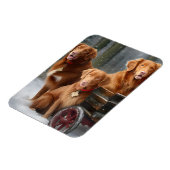 Nova Scotia Duck Toller Retriever Sneeuwslee Magneet (Linkerzijde)