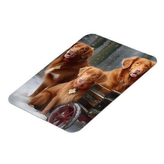 Nova Scotia Duck Toller Retriever Sneeuwslee Magneet (Linkerzijde)