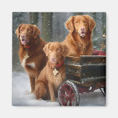 Nova Scotia Duck Toller Retriever Sneeuwslee Magneet (Voorkant)