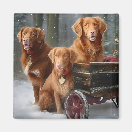 Nova Scotia Duck Toller Retriever Sneeuwslee Magneet (Voorkant)