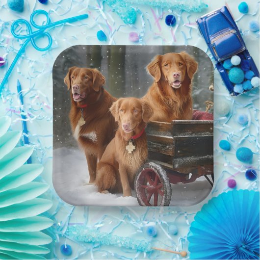 Nova Scotia Duck Toller Retriever Sneeuwslee Papieren Bordje (Feest)
