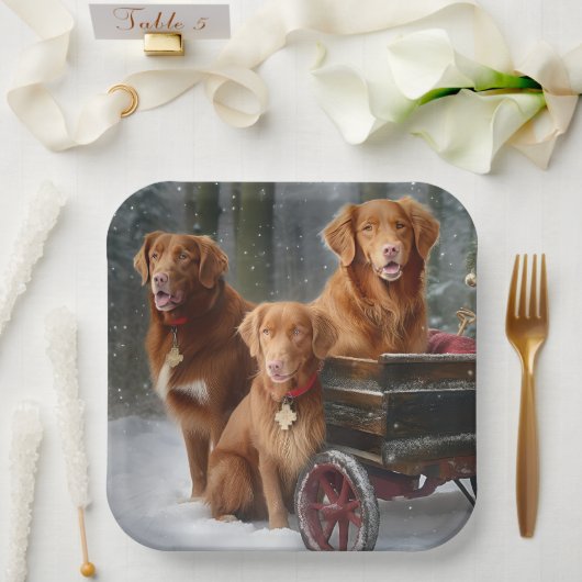 Nova Scotia Duck Toller Retriever Sneeuwslee Papieren Bordje (Huwelijk)