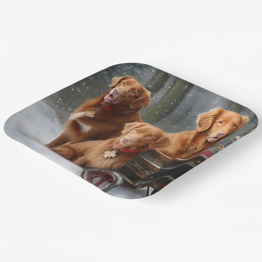 Nova Scotia Duck Toller Retriever Sneeuwslee Papieren Bordje (Gebogen)