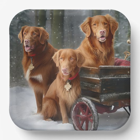Nova Scotia Duck Toller Retriever Sneeuwslee Papieren Bordje (Voorkant)