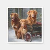 Nova Scotia Duck Toller Retriever Sneeuwslee Servet (Voorkant)