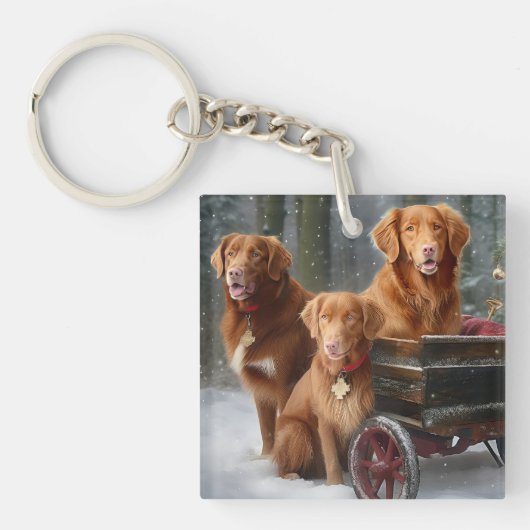Nova Scotia Duck Toller Retriever Sneeuwslee Sleutelhanger (Voorkant)