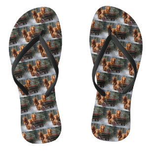 Nova Scotia Duck Toller Retriever Sneeuwslee Teenslippers