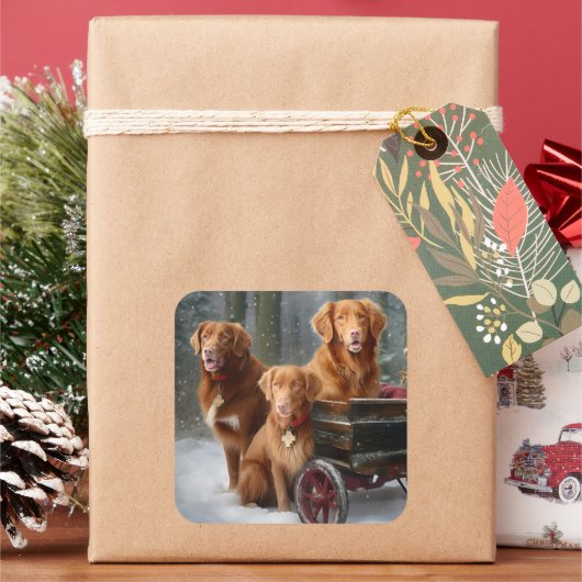 Nova Scotia Duck Toller Retriever Sneeuwslee Vierkante Sticker (Feestdagen)