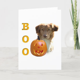 Nova Scotia Duck Tolling Boo Kaart