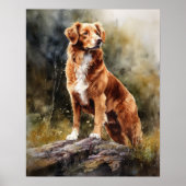 Nova Scotia Duck Tolling Retrieve Dog Art Poster (Voorkant)