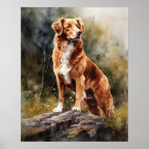 Nova Scotia Duck Tolling Retrieve Dog Art Poster