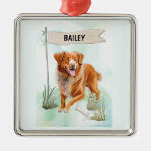Nova Scotia Duck Tolling Retriever Aquarel Hond