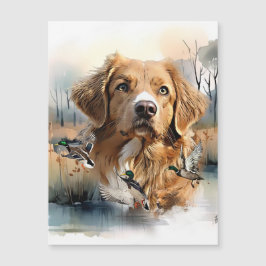 Nova Scotia Duck Tolling Retriever, Art