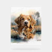 Nova Scotia Duck Tolling Retriever, Art Acryl Bord (Voorkant)