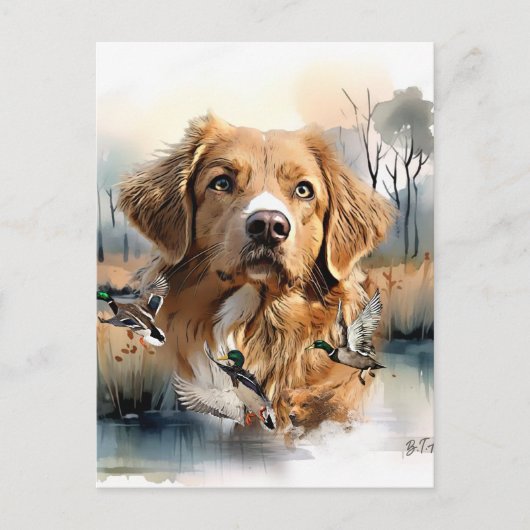 Nova Scotia Duck Tolling Retriever, Art Briefkaart (Voorkant)