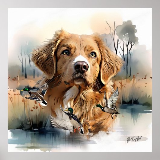 Nova Scotia Duck Tolling Retriever, Art Poster (Voorkant)