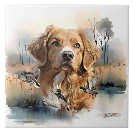 Nova Scotia Duck Tolling Retriever, Art Tegeltje (Voorkant)